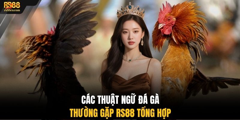 Các thuật ngữ đá gà thường gặp RS88 tổng hợp