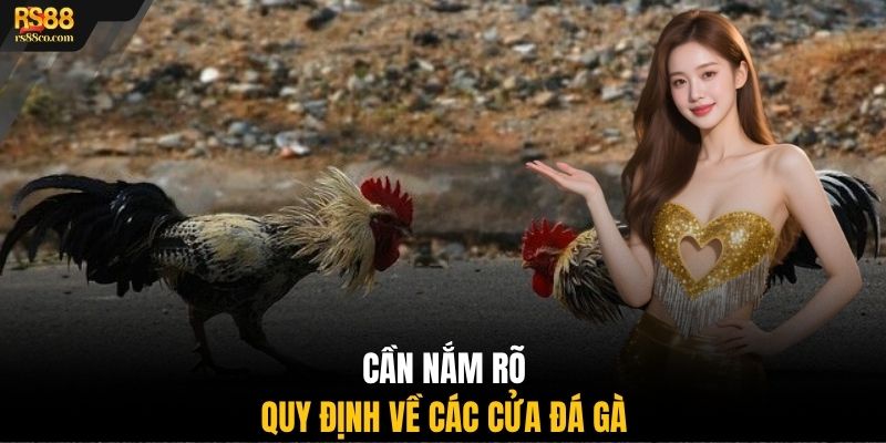 Cần nắm rõ quy định về các cửa đá gà