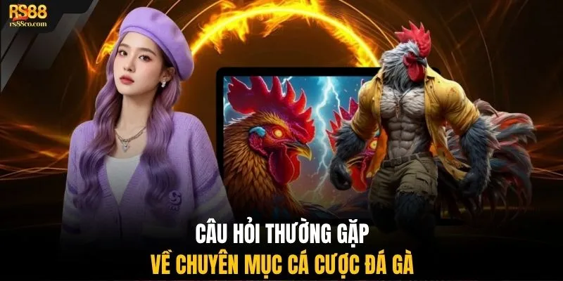 Câu hỏi thường gặp về chuyên mục cá cược đá gà
