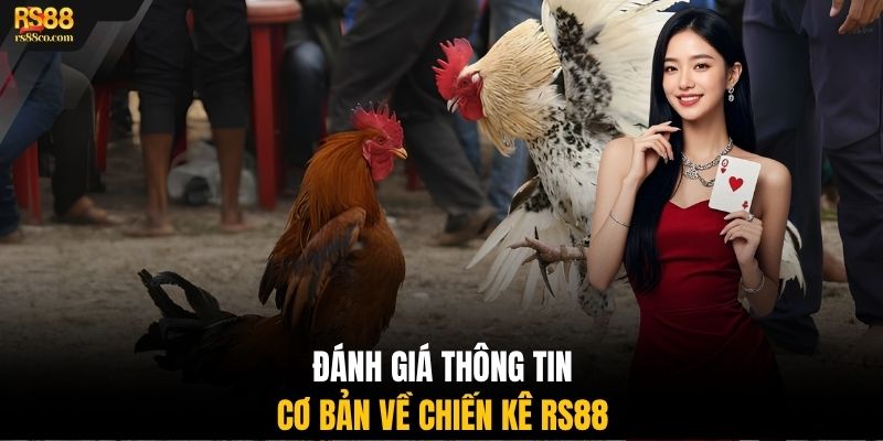 Đánh giá thông tin cơ bản về chiến kê RS88
