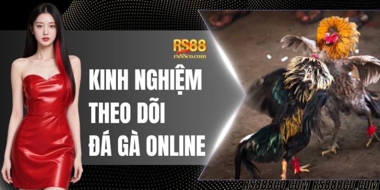 Kinh Nghiệm Theo Dõi Đá Gà Online Chuẩn Xác Cho Tân Thủ