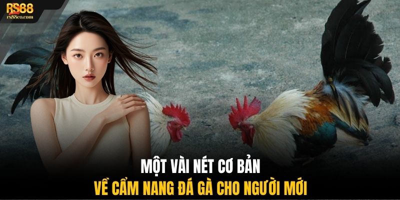 Một vài nét cơ bản về cẩm nang đá gà cho người mới