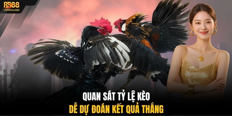 Quan sát tỷ lệ kèo dễ dự đoán kết quả thắng