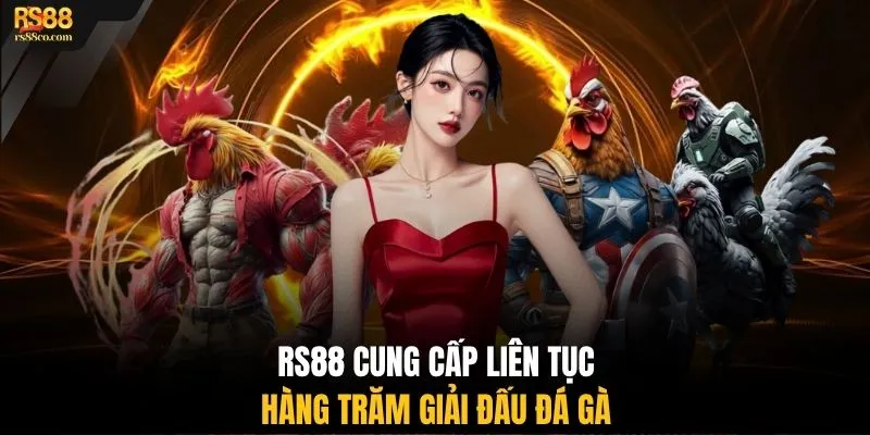 RS88 cung cấp liên tục hàng trăm giải đấu đá gà