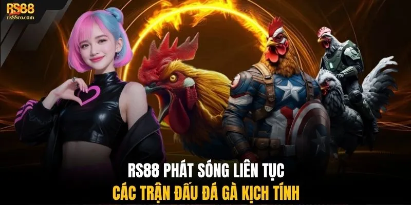 RS88 phát sóng liên tục các trận đấu đá gà kịch tính