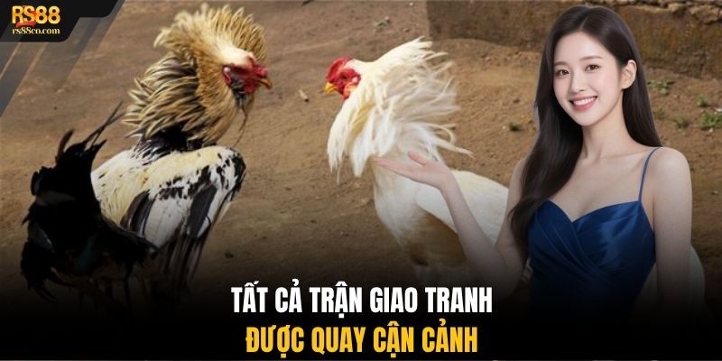 Tất cả trận giao tranh được quay cận cảnh