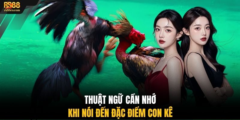 Thuật ngữ cần nhớ khi nói đến đặc điểm con kê