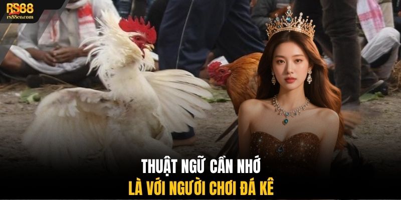 Thuật ngữ cần nhớ là với người chơi đá kê