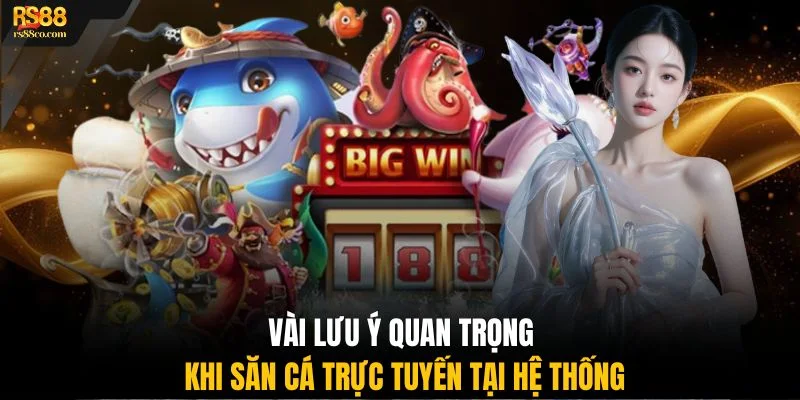 Vài lưu ý quan trọng khi săn cá trực tuyến tại hệ thống